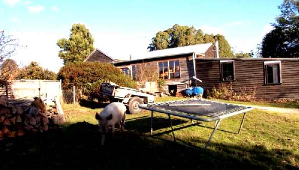 View of house from the north with Rosie - a former member of our family (deceased)